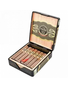 CASA MAGNA - XV ANNIVERSARY 2