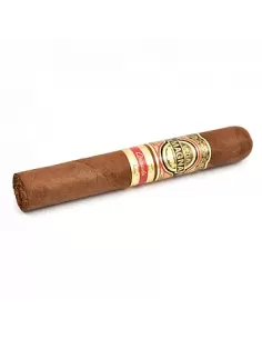 VEGA MAGNA - ROBUSTO