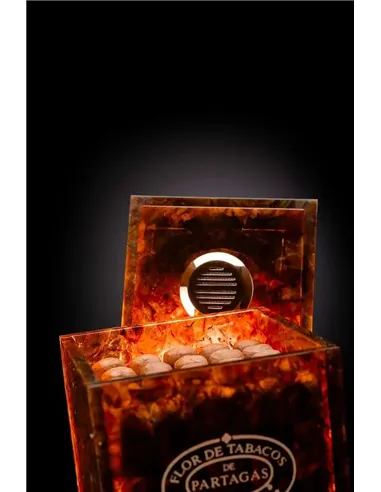 Кубинские сигары Art Nouveau Serie Partagas Shorts Vintage 2007