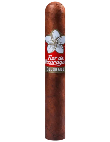 Joya de Nicaragua Flor de Nicaragua Robusto