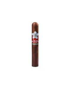 Joya de Nicaragua Flor de Nicaragua Toro