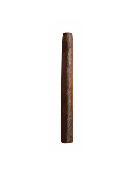 Сигариллы Dutch Delites Wild Brasil (50 шт.)