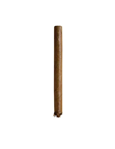 Сигариллы Dutch Delites Wild Sumatra (50 шт.)