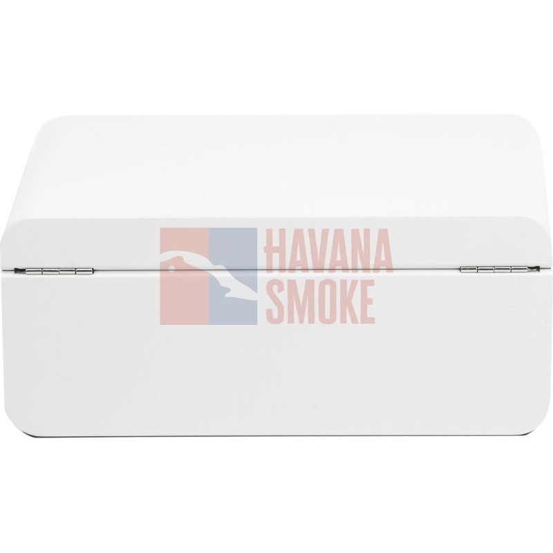 Купить Adorini Carrara Medium - Deluxe