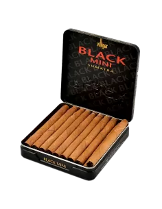 Сигариллы Villiger Black Mini Sumatra 2