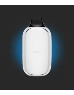 Электронная сигарета Roqy L со вкусом Кислая Черника Малина, 20000 затяжек