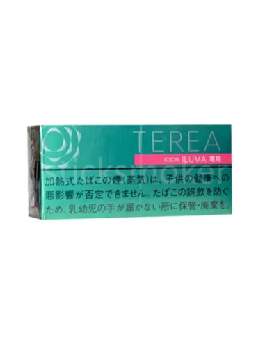 Стики TEREA Mint Япония (блок)