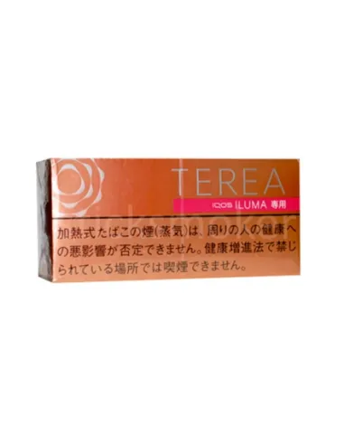 Стики TEREA Tropical Menthol Япония (блок)