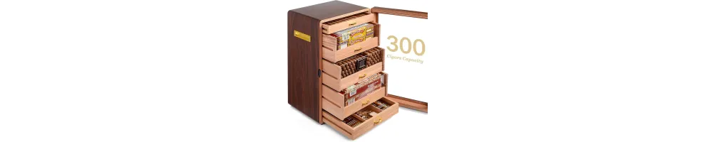 Купить Хьюмидоры-шкафы от 300 сигар в Москве и РФ — низкие цены в Smokers Choice