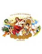 Купить сигары LA GLORIA CUBANA по низким ценам в интернет-магазине - отзывы и скидки на LA GLORIA CUBANA