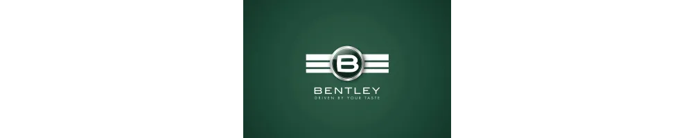Купить Bentley в Москве и РФ — низкие цены в Smokers Choice